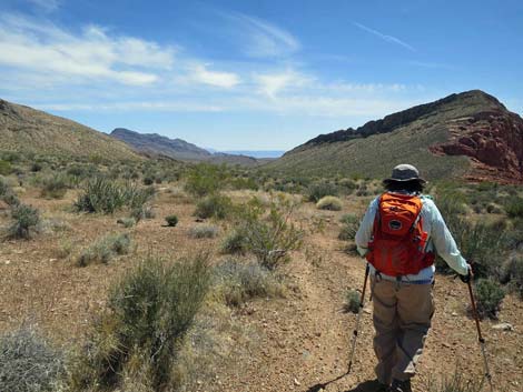 Whitney Wash Loop