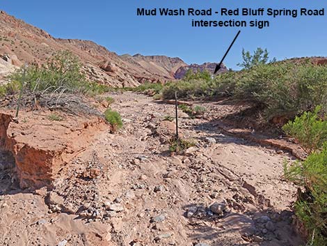 Red Bluff Spring