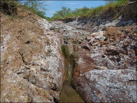 Red Bluff Spring