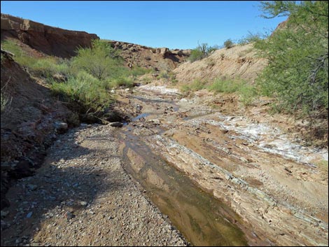 Red Bluff Spring