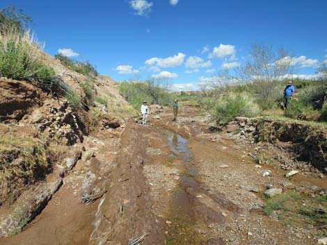 Red Bluff Spring