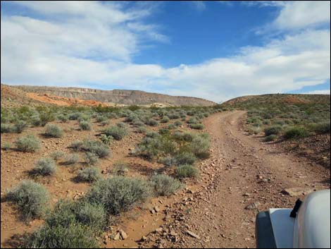 Black Butte Road