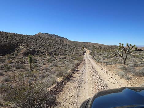 Black Butte Road