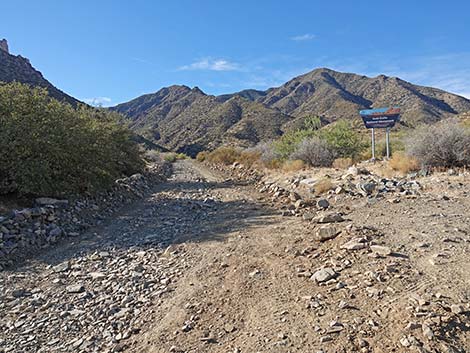 Cabin Canyon Road