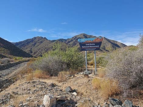 Cabin Canyon Road