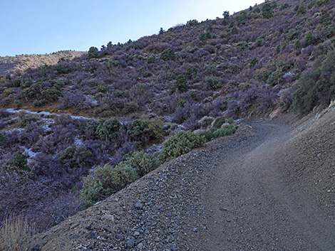 Cabin Canyon Road