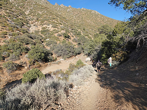 Upper Upper Nickel Canyon Road