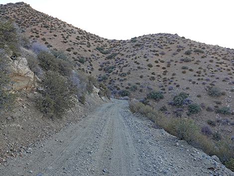 Upper Upper Nickel Canyon Road