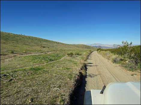 Catclaw Wash Road