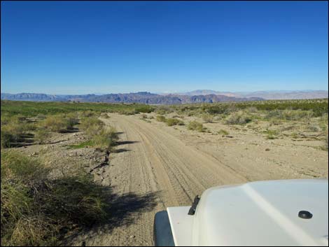 Catclaw Wash Road