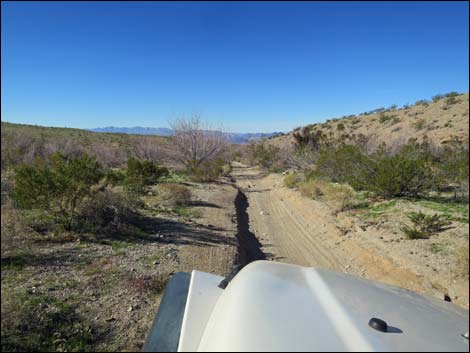 Catclaw Wash Road