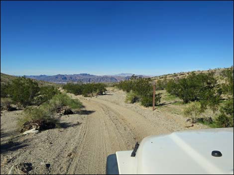 Catclaw Wash Road