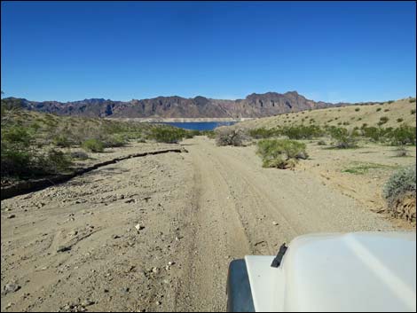 Catclaw Wash Road