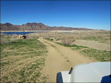 Catclaw Wash Road