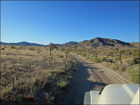 Cedar Basin Shortcut Road