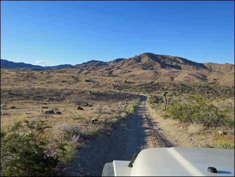 Cedar Basin Shortcut Road