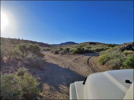 Cedar Basin Road