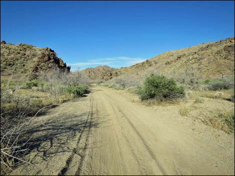 Cedar Basin Road