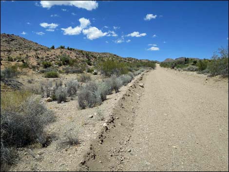 Devils Cove Road