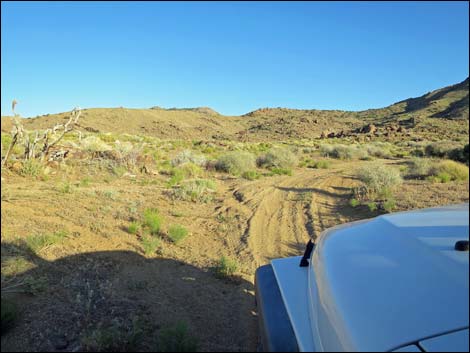 Gold Butte Peak Road