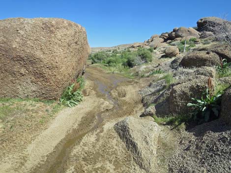 Gold Butte Peak Road