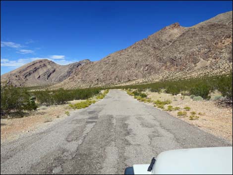 Gold Butte Road