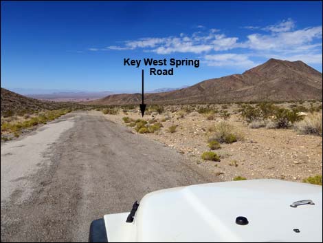 Gold Butte Road