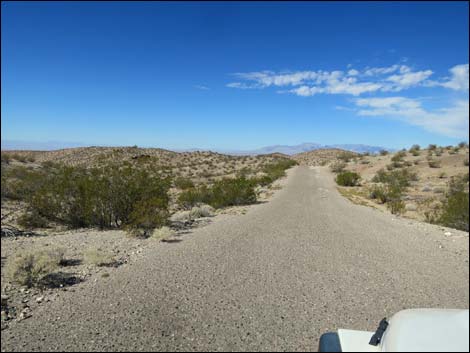 Gold Butte Road