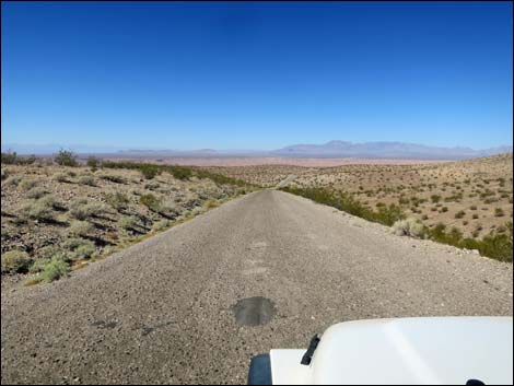 Gold Butte Road