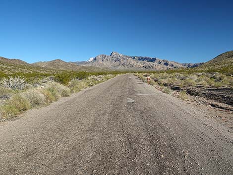gold butte road