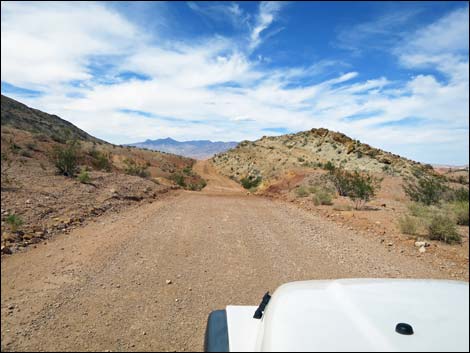 Gold Butte Road