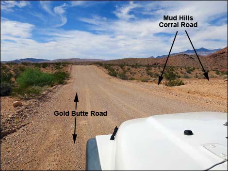 Gold Butte Road