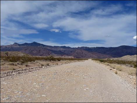 Gold Butte Road