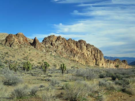 Gold Butte Road