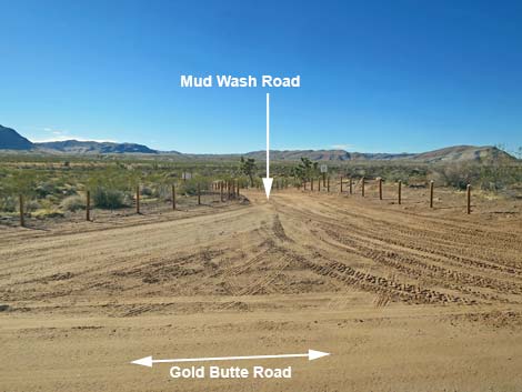 Gold Butte Road