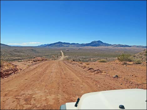 Gold Butte Road