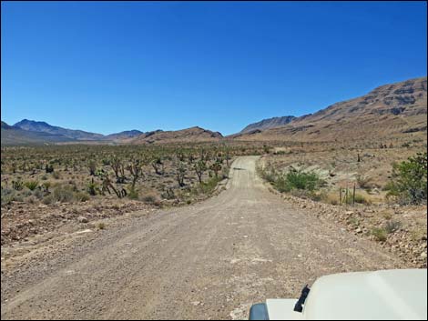 Gold Butte Road