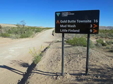 Gold Butte Road