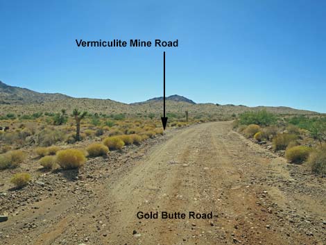 Gold Butte Road