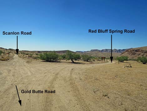 Gold Butte Road