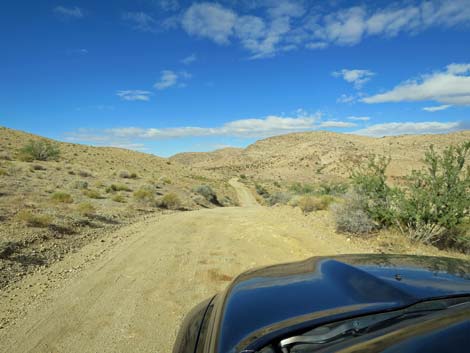 Gold Butte Road