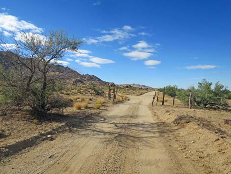 Gold Butte Road