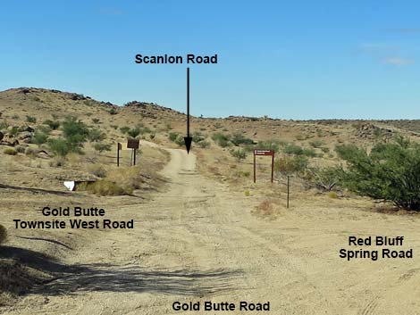 Gold Butte Road