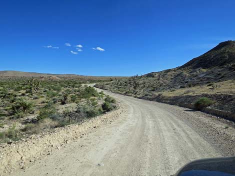 Gold Butte Road