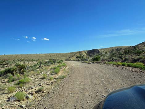 Gold Butte Road