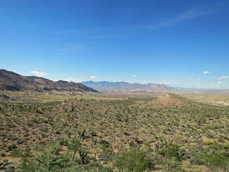 Gold Butte Road