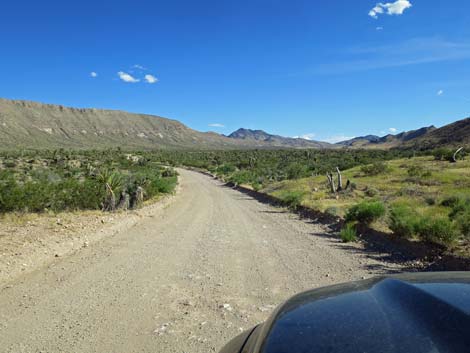 Gold Butte Road