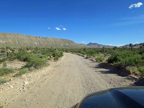 Gold Butte Road