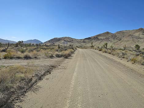 Gold Butte Road