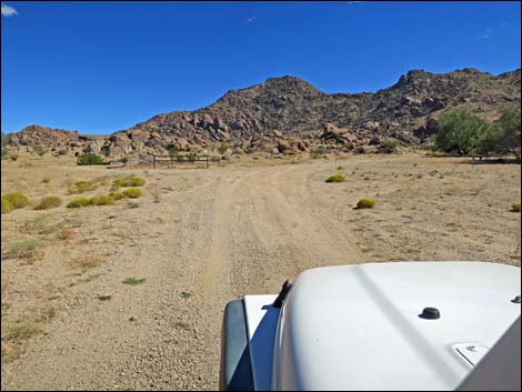 Gold Butte Townsite Road